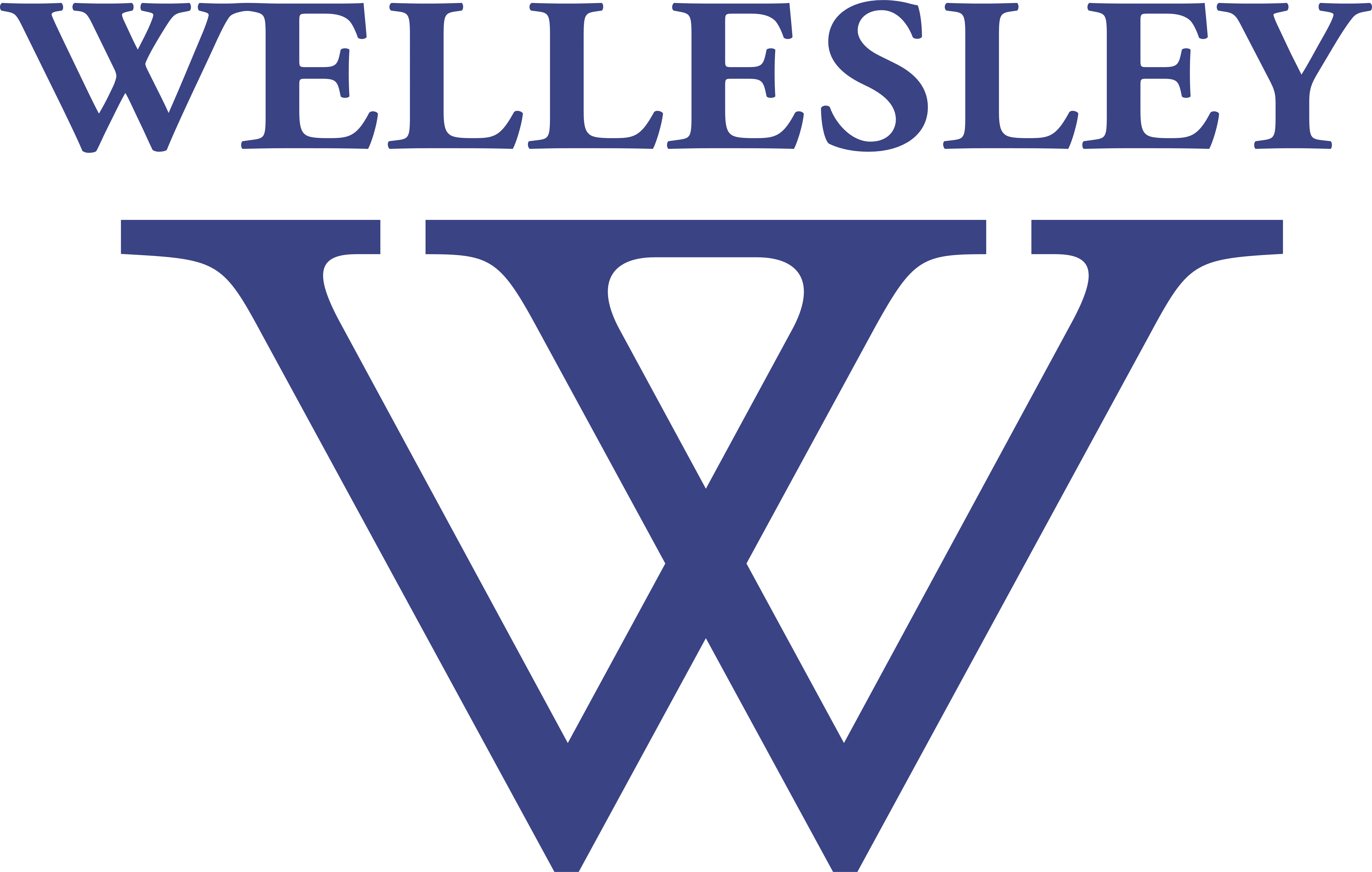 Experience the world with Wellesley and API