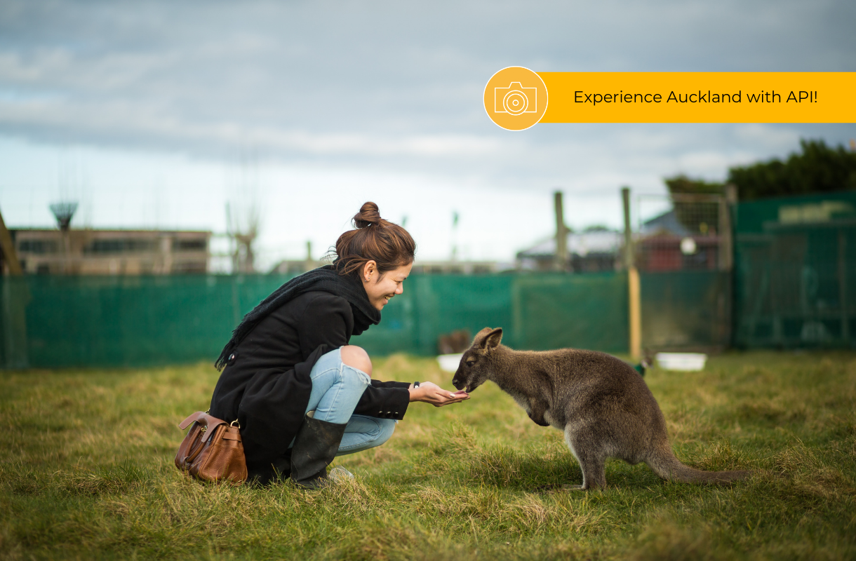 Experience Auckland with API!