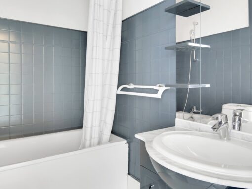 Paris Housing Premium Bath